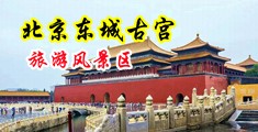 桶逼视屏中国北京-东城古宫旅游风景区